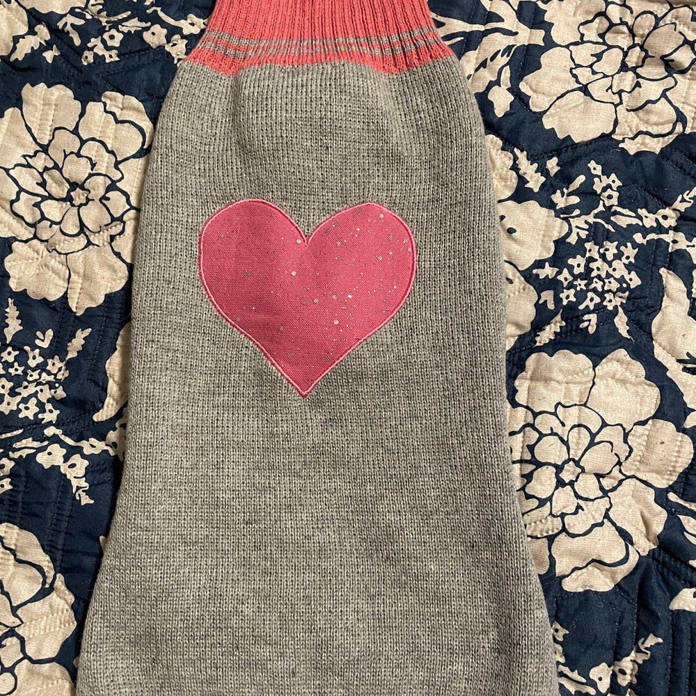 Top Paw glitter heart sweater